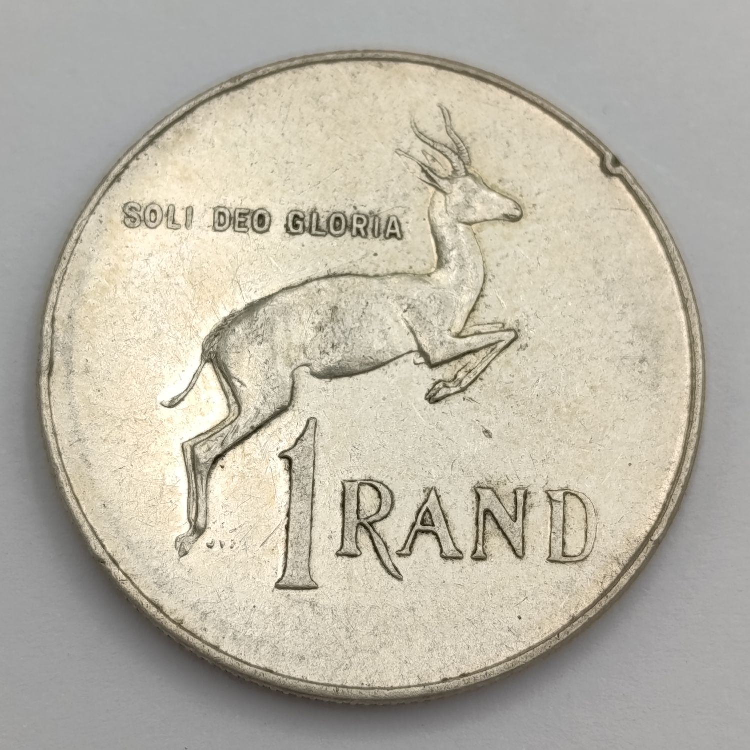 1966 South Africa pregnant Springbok - no penis