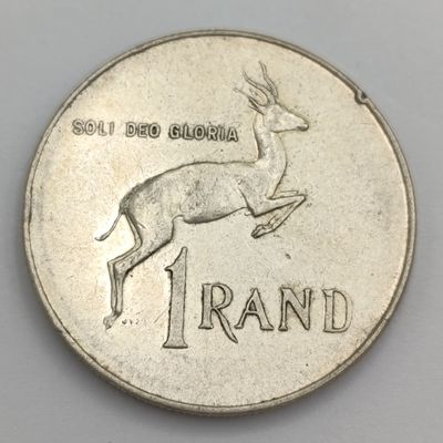 1966 South Africa pregnant Springbok - no penis