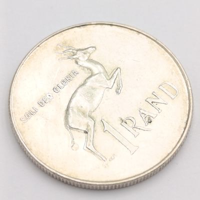 1966  South Africa pregnant springbok - no penis