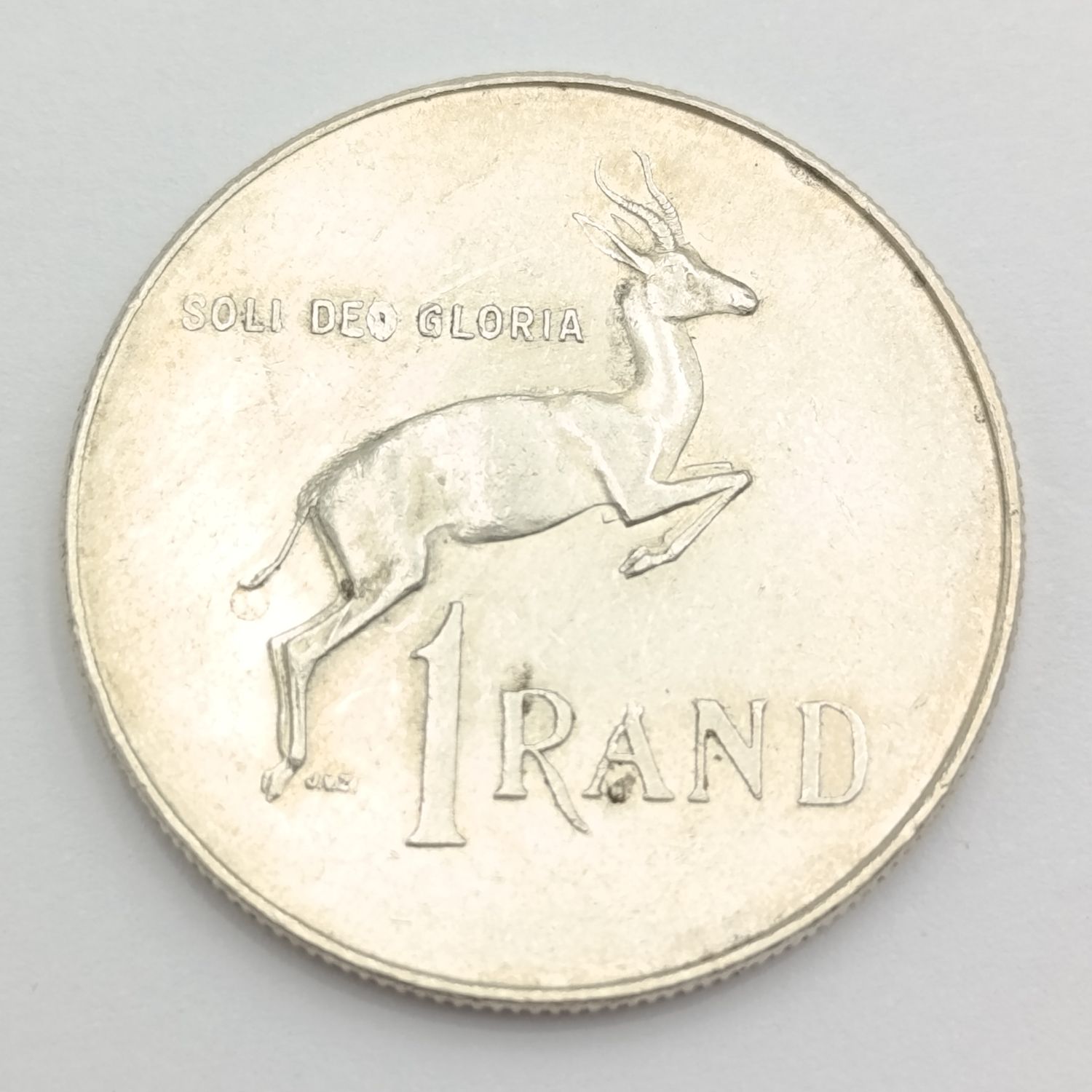 1966  South Africa pregnant springbok - no penis