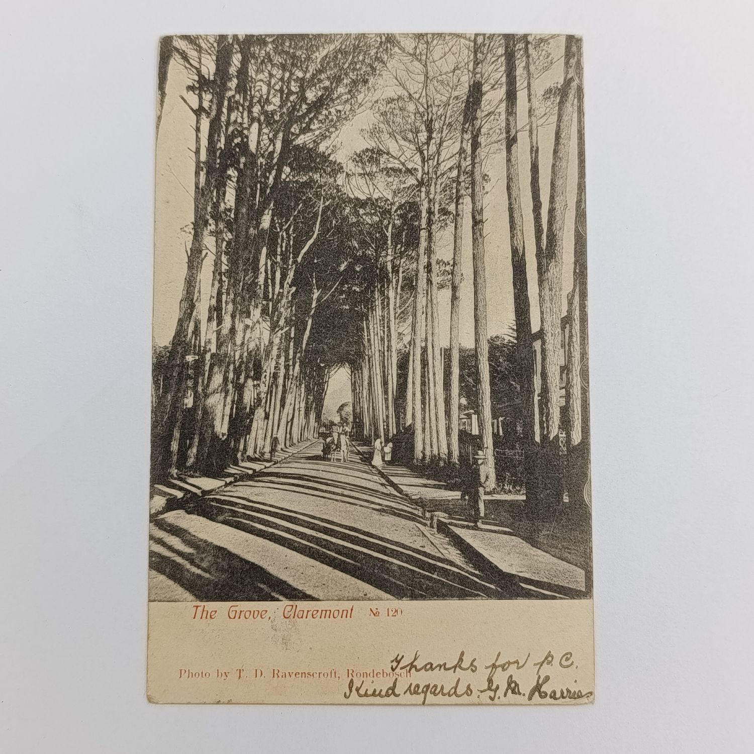 1908 Postcard from Somerset West, Cape Colony to Bream Creek, Tasmania - Picture of The Grove, Claremont