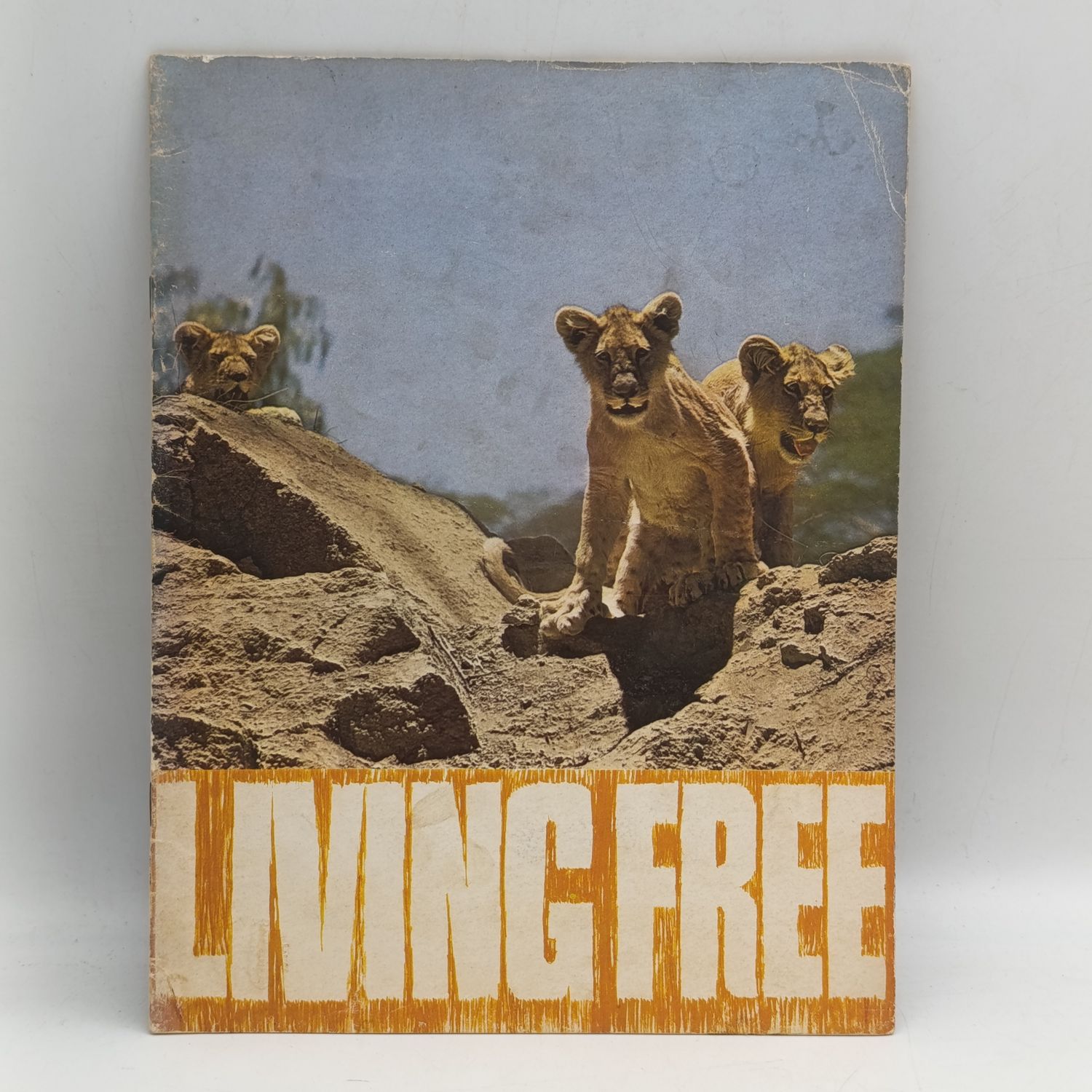 Original Columbia pictures brachure for the film Living Free