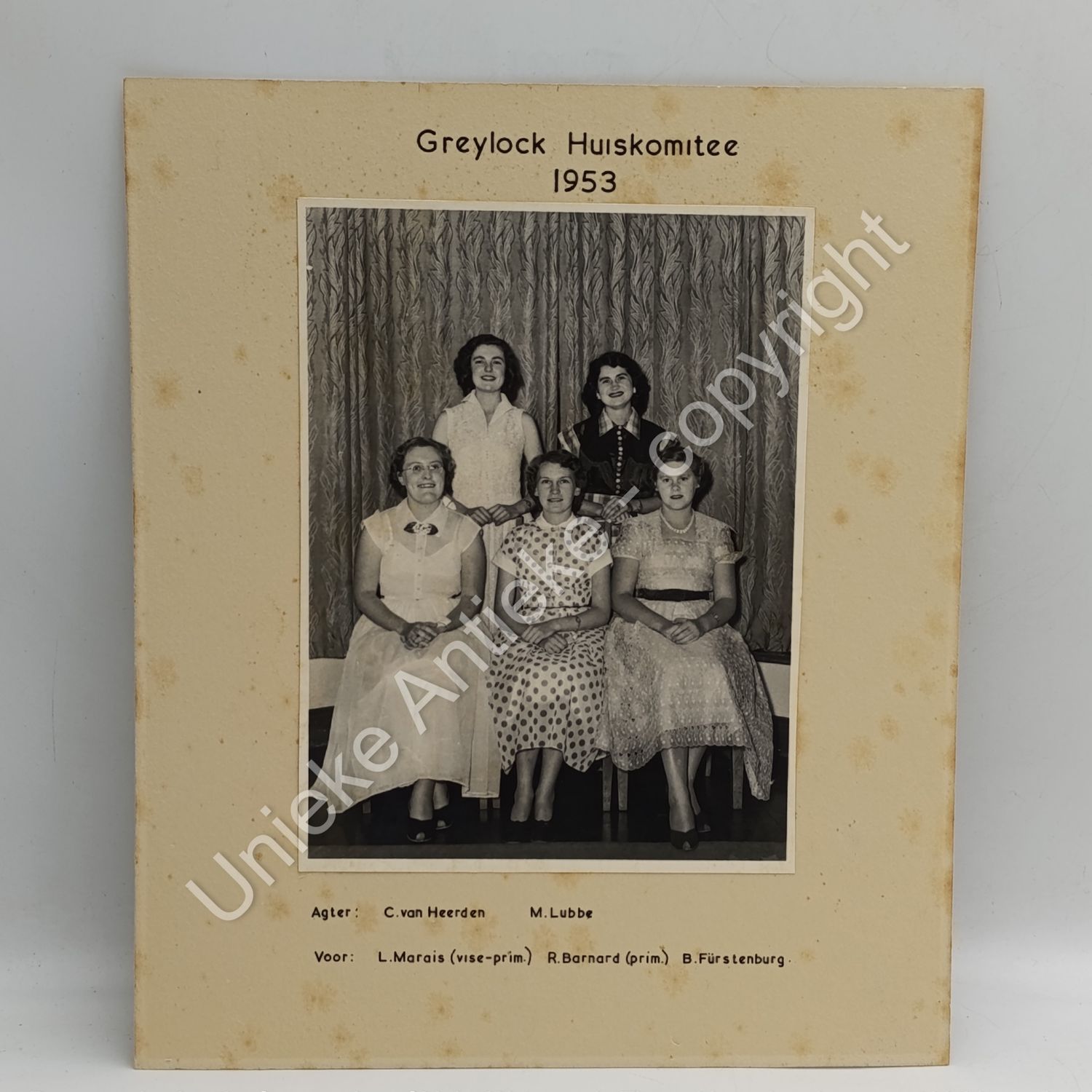 1953 photo of the Greylock House Committee Stellenbosch