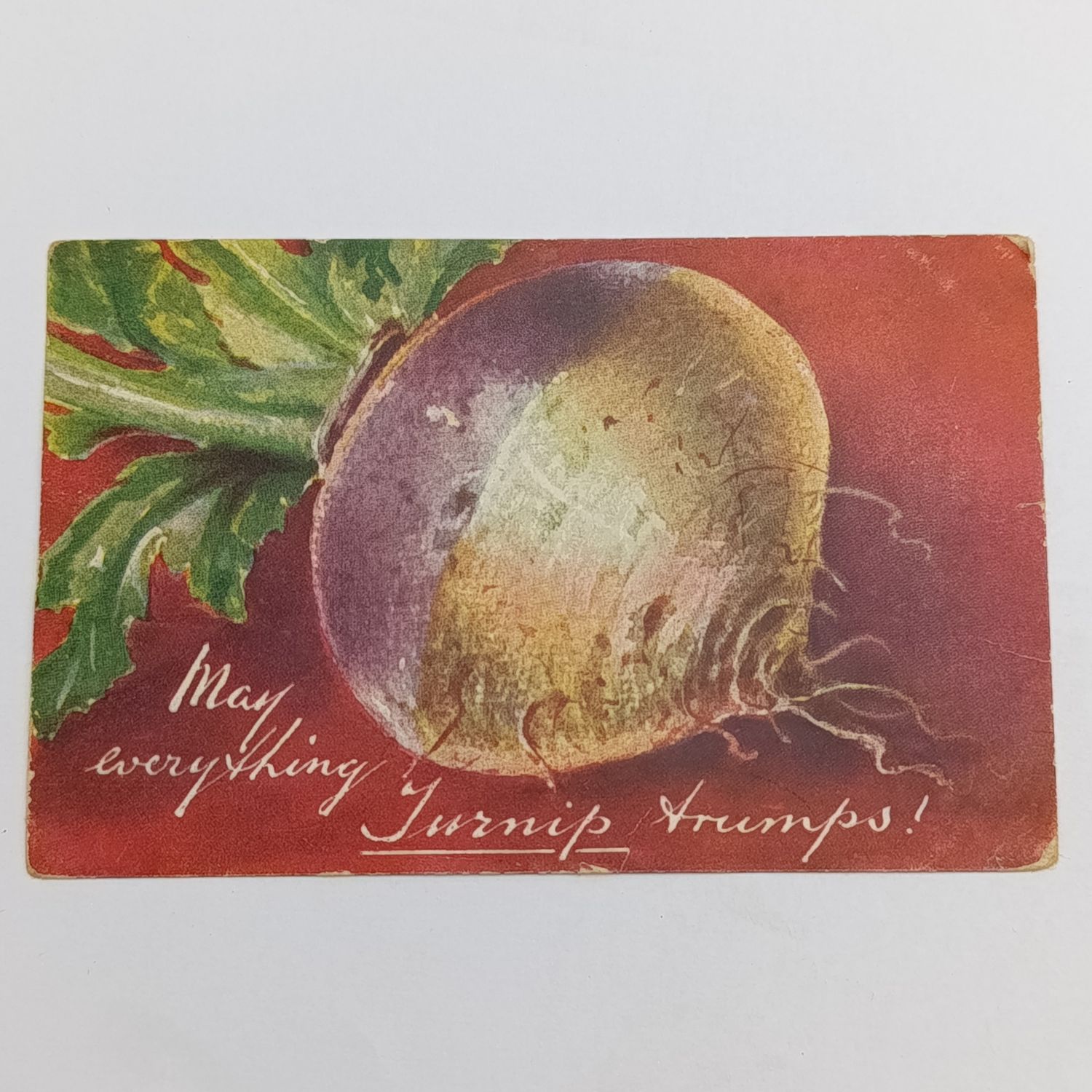 1907 Postcard From Port Elizabeth to Blaney Junction, East London - Funny card