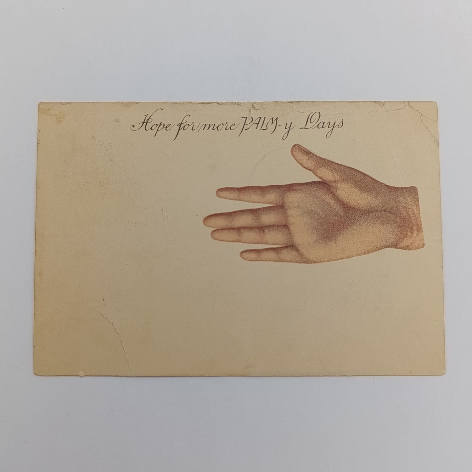 1905 Postcard Humansdorp to Luipaardsvlei - Funny card
