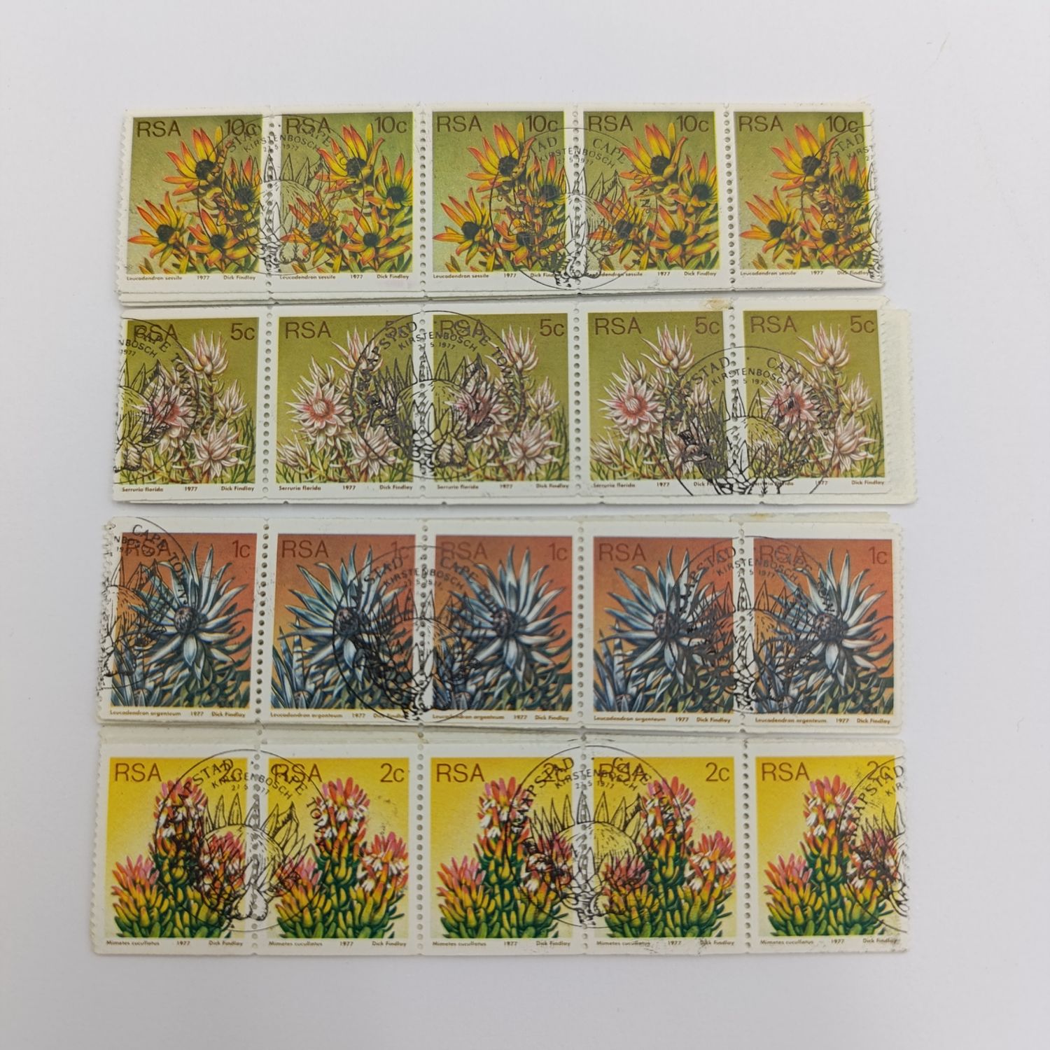 South Africa protea series coil stamps - 1c, 2c, 5c, 10c 4 strips of 30 stamps cancelled