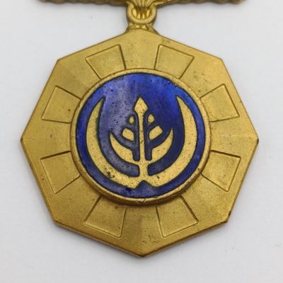 SADF Pro Patria medal - fixed type - #138562