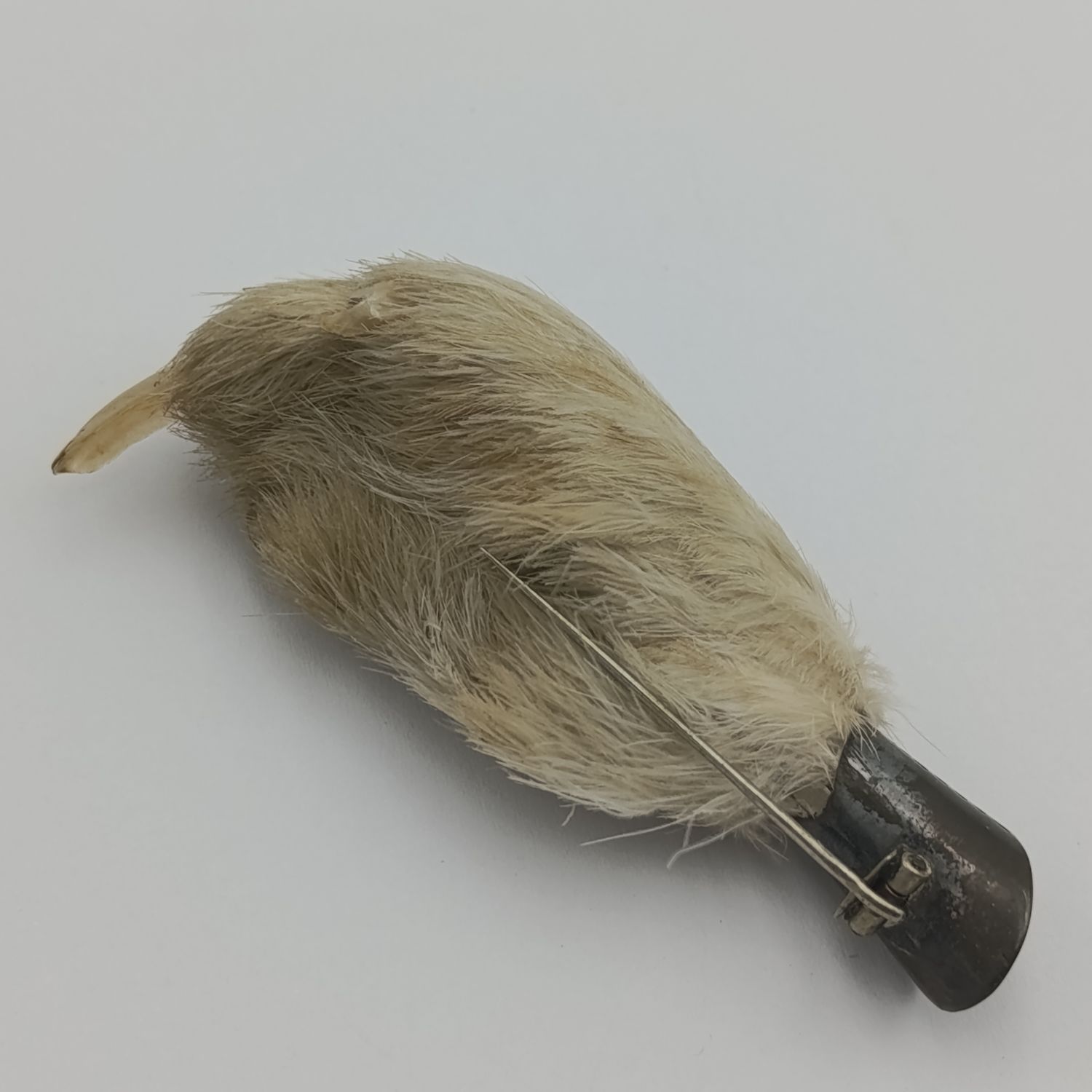 Scottish lucky Grouse claw brooch