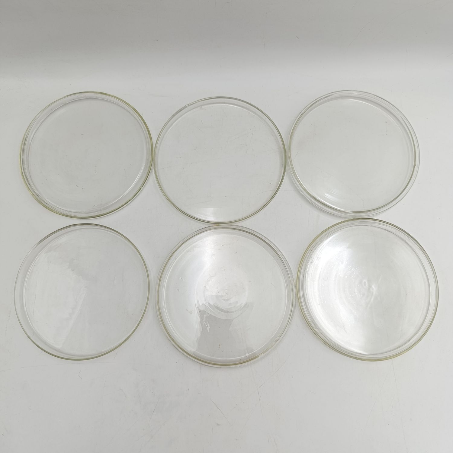 Set of 5 pyrex petri dishes - unused - 14cm x 1.1cm