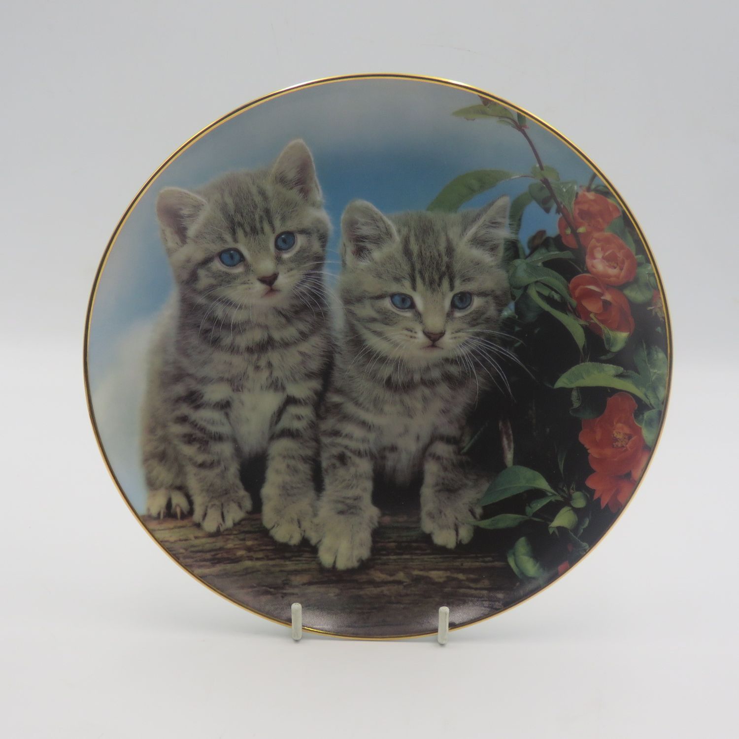 Two of a kind - Purrfect Portraits collection porcelain plate - Made by the Danbury Mint - in original Polystyrene box