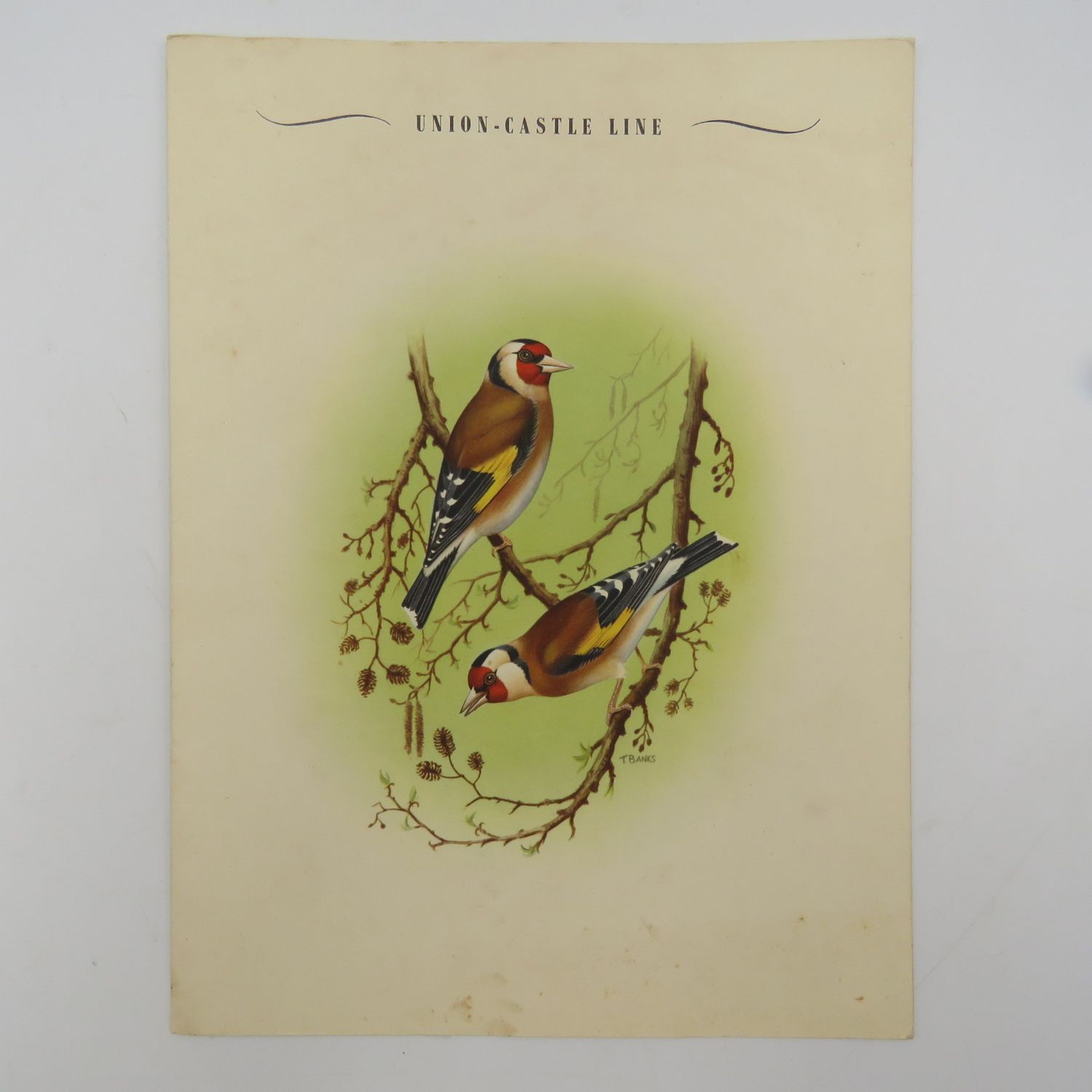 Union-Castle RMMV Athlone castle dinner menu - Sunday, 3 September 1961