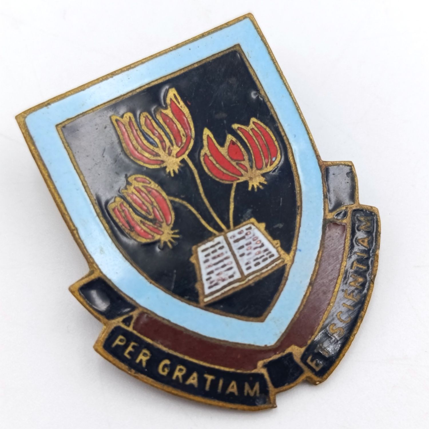 Vintage Arundel school Rhodesia badge