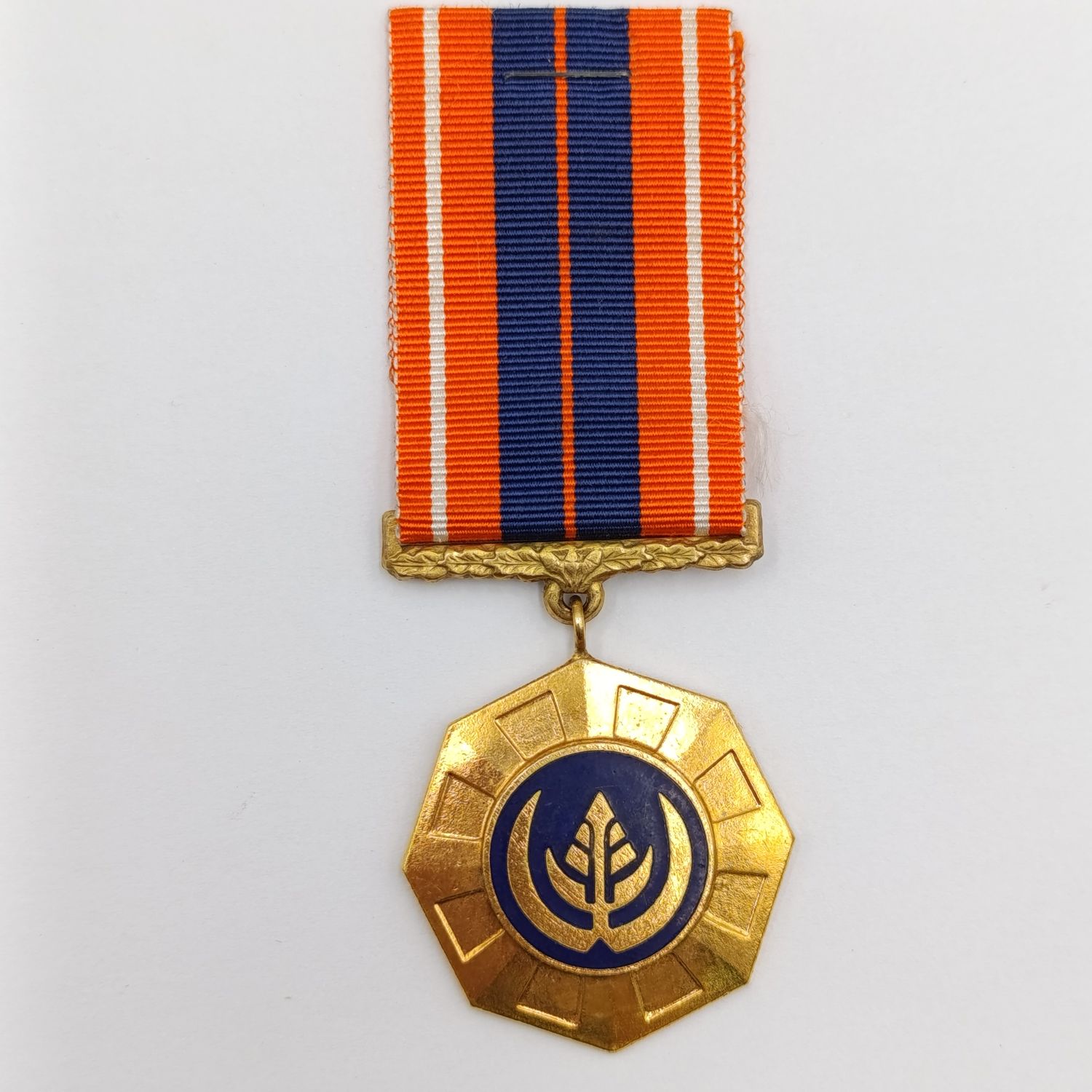 SADF Pro Patria medal - Swivel type - #77633
