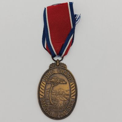 SADF john Chard medal #8255