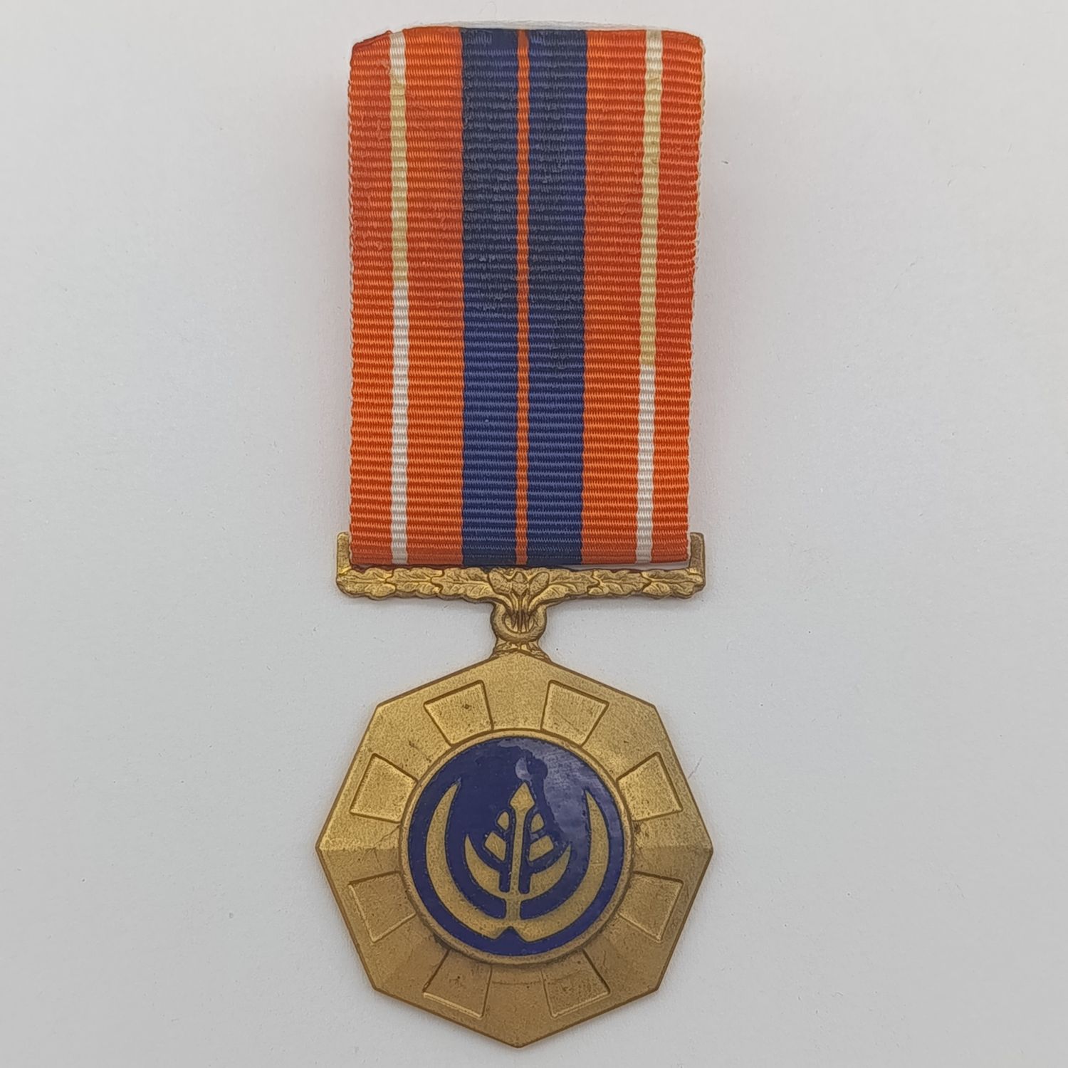 SADF Pro Patria medal - #163613 - fixed type