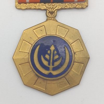 SADF Pro Patria medal - #163613 - fixed type