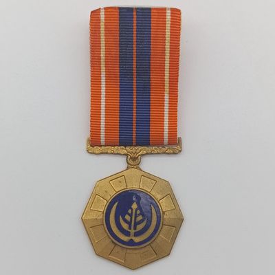 SADF Pro Patria medal - #163613 - fixed type