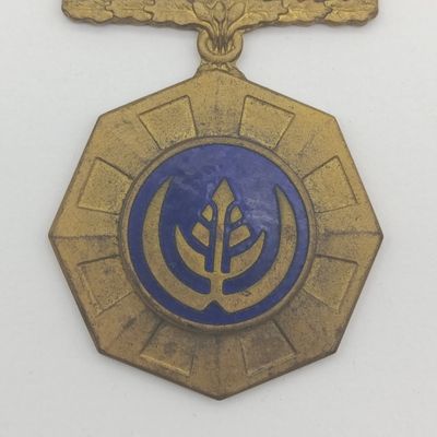 SADF Pro Patria medal - fixed type - #161103