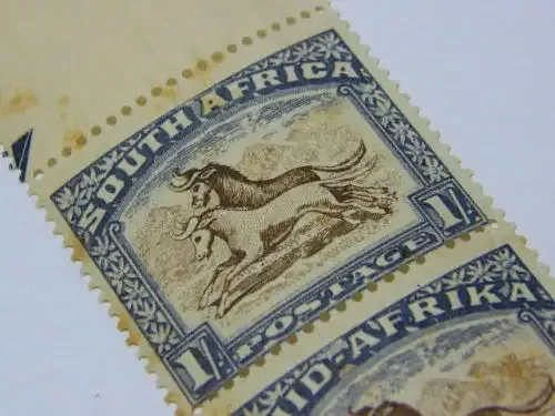 SACC 61 strip of 5 mint stamps - light foxing but bottom 2 untouched - unhinged