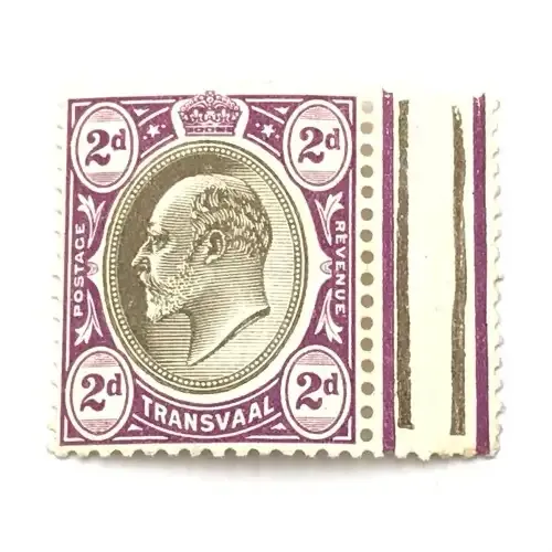 Transvaal - 2d - unmounted mint SACC 268 stamp - gutter margin