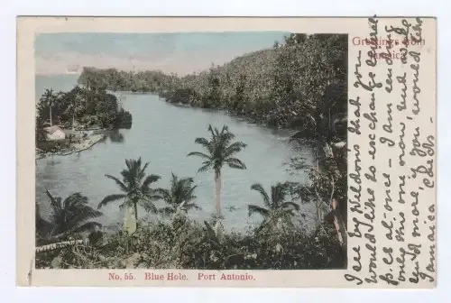 Reef letter box postcard Kingston, Jamaica to France - 5 September 1905