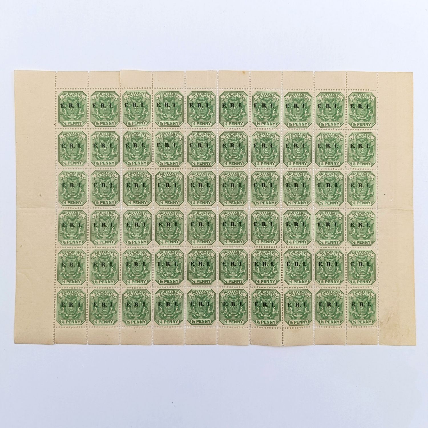 ZAR stamps full page of 60 mint stamps ERI overprint with faults indicated - RARE FIND
