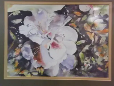 Water colour Hibiscus by Clifford Jacobs