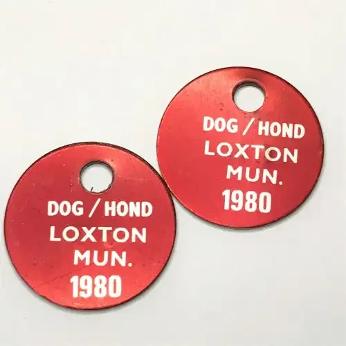 Dog Licenses - 2 x Loxton 1980 Licenses no 33 and 66
