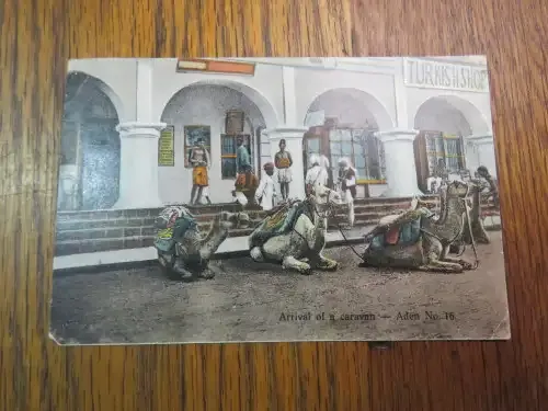 Postcard Aden to South Africa with India stamp - Cancelled 1923 - Arrival of Camel caravan