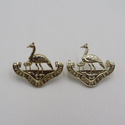 Lot of Northern Rhodesia regiment badges and buttons