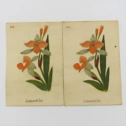 Silk cigarette card - South African flowers - No 20 Lissochilus with 2 different printings of the 20