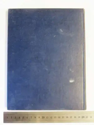 Pictorial art in South Africa during three centuries to 1875 by A. Gorgon-Brown