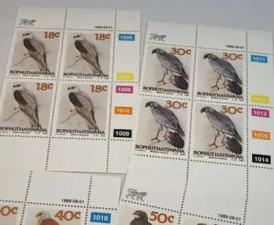 Birds of prey SACC 223 - SACC 226 control blocks of 4