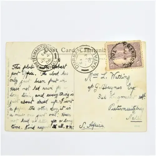 Cranbrook on 2d pictorial to Pietermaritzburg, Postcard