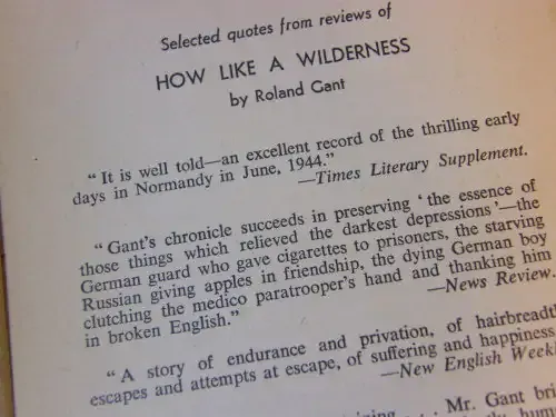 How Like a Wilderness by Roland Gant