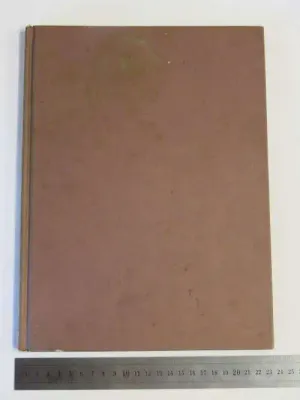 A collector`s guide to dollhouses by Valerie Jackson