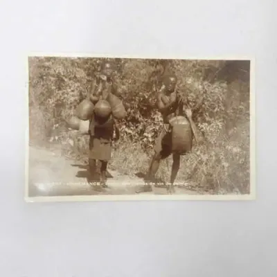 Palm Merchant with 6 Senegal stamps - Posted Senegal to Austria