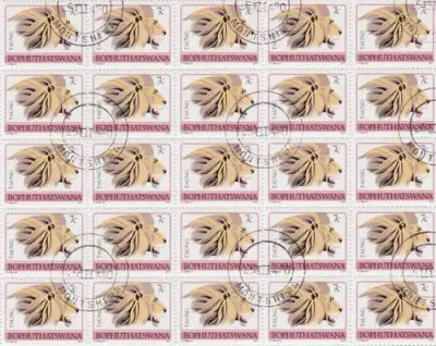 Bophuthatswana - SACC 11 Full Sheets mint and used - Lion - as per scan
