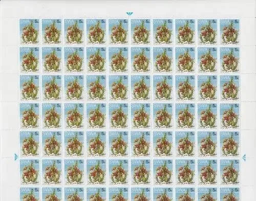 SWA - SACC 254bf Mint and Used Full Sheets with 100 Stamps each - as per scan