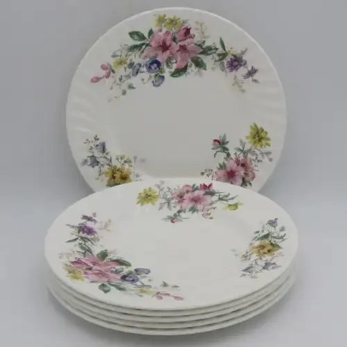 Set of 6 Royal Doulton Arcadia medium plates