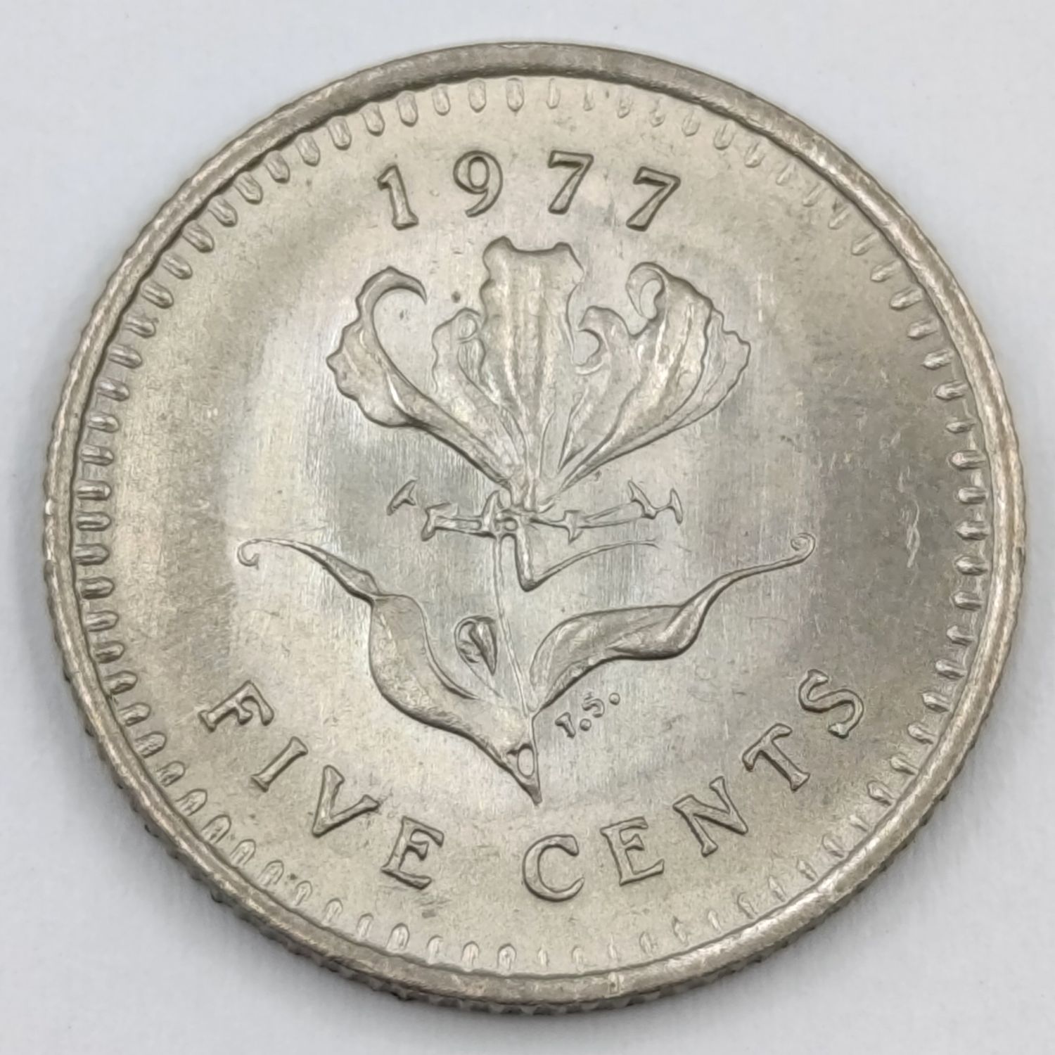 Rhodesia 1977 5 cent brilliant uncirculated