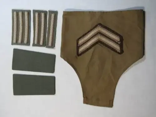 Lot of SWA territorial Forces rank badges