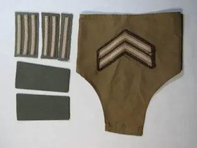 Lot of SWA territorial Forces rank badges