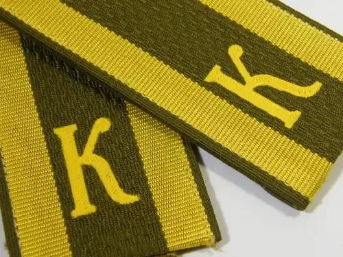 Pair of Russian Airborne cadet rank epaulettes - as per photo