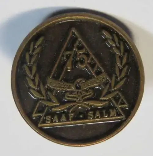 SA Air Force 75 year lapel pin