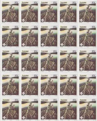Transkei - SACC 104-107 Set of Mint Full Sheets - Boy Scouts - as per scan