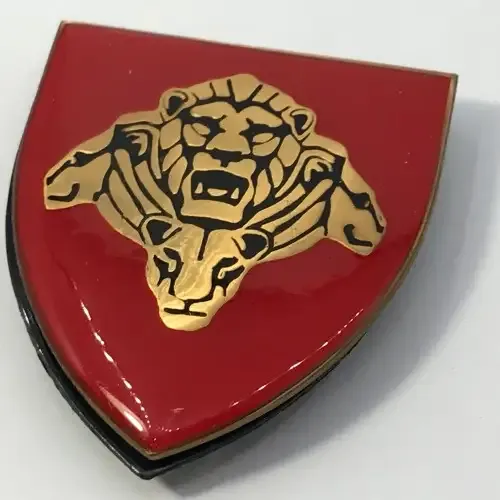 SA National defence force shoulder flash