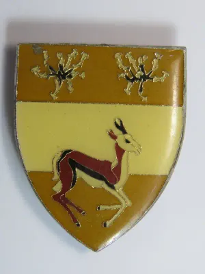 South West Africa AVOB commando pocket flash