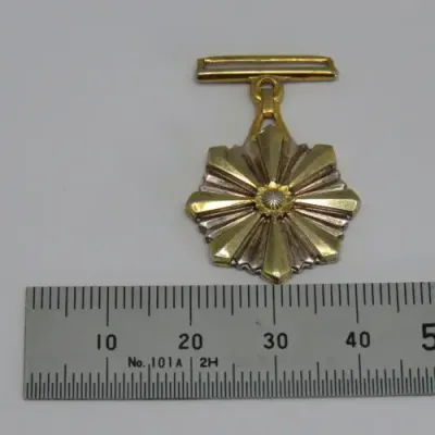 SA Correctional Services Officers Merit Miniature medal - #690 silver - No ribbon