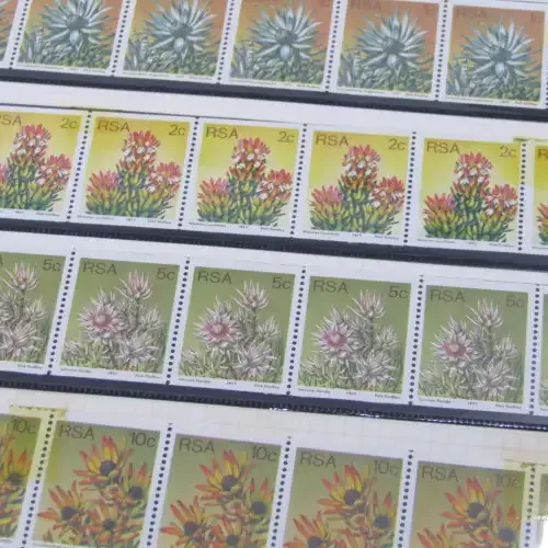 Stamp album with large lot of South Africa, South West Africa and homelands